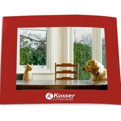 Laminated Photo Frame - 7 inches x 5 inches - Color