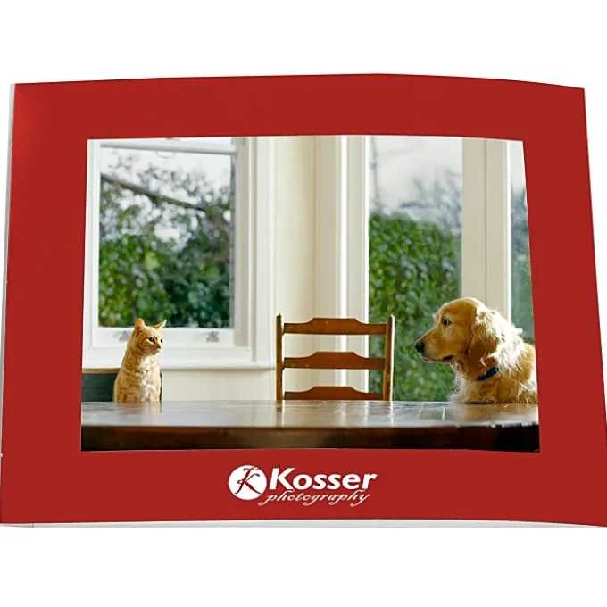 Laminated Photo Frame - 7 inches x 5 inches - Color