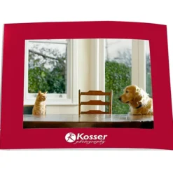 Laminated Photo Frame - 7 inches x 5 inches - Color