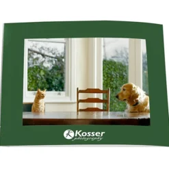 Laminated Photo Frame - 7 inches x 5 inches - Color