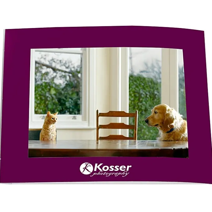 Laminated Photo Frame - 7 inches x 5 inches - Color