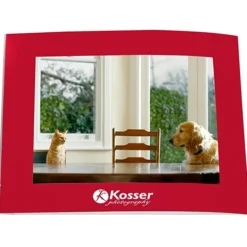 Laminated Photo Frame - 7 inches x 5 inches - Color