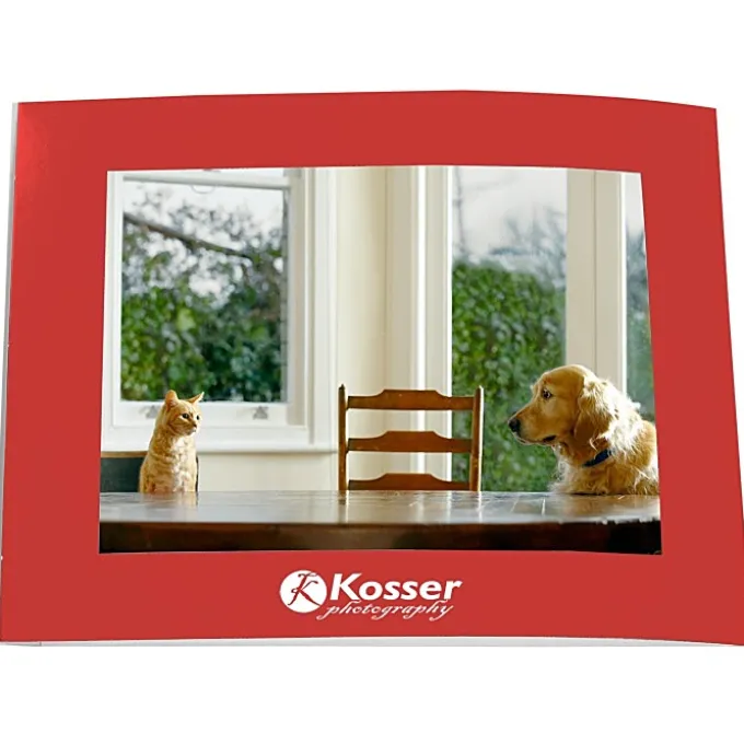 Laminated Photo Frame - 7 inches x 5 inches - Color