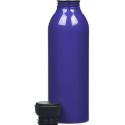 Level Aluminum Bottle - 17 oz.