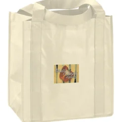 Little Thunder Tote - 13 inches x 12 inches - Full Color