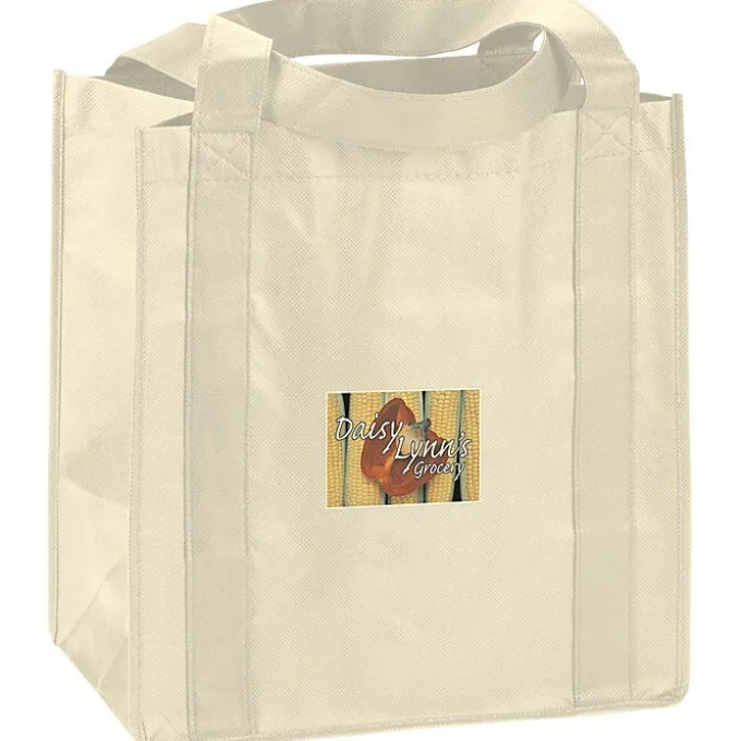 Little Thunder Tote - 13 inches x 12 inches - Full Color