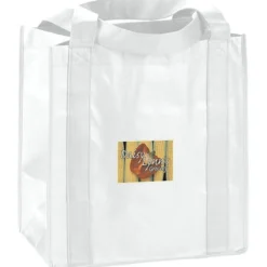 Little Thunder Tote - 13 inches x 12 inches - Full Color
