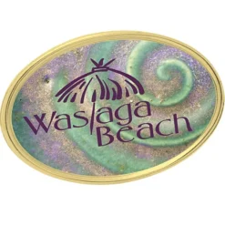 Magnetic Lapel Pin - Oval