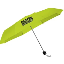 Mini Folding Umbrella - 42-inch Arc