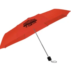 Mini Folding Umbrella - 42-inch Arc - 24 hr