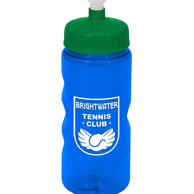 Mini Mountain Bottle - 22 oz