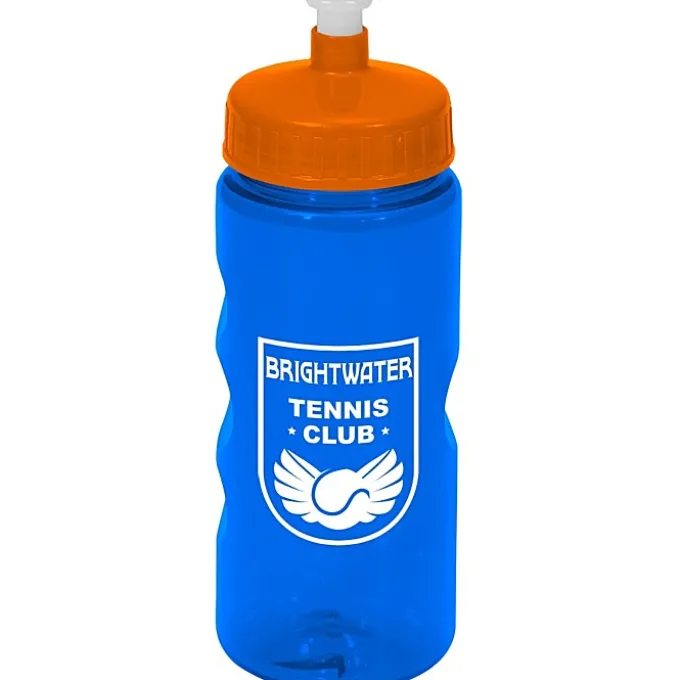 Mini Mountain Bottle - 22 oz