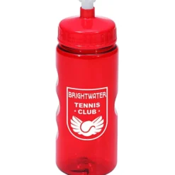 Mini Mountain Bottle - 22 oz