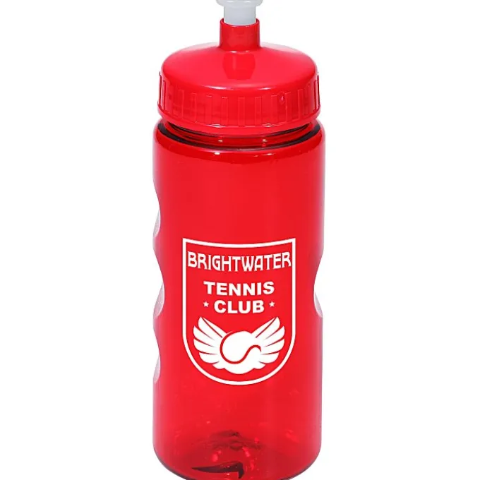 Mini Mountain Bottle - 22 oz