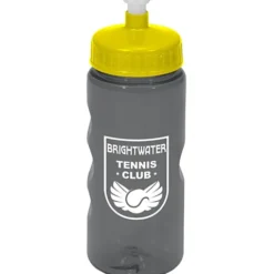Mini Mountain Bottle - 22 oz