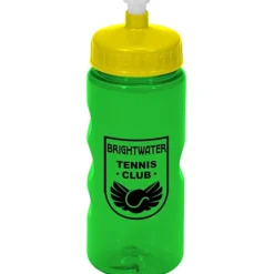 Mini Mountain Bottle - 22 oz