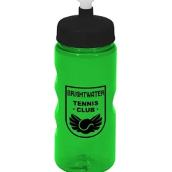 Mini Mountain Bottle - 22 oz