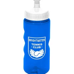 Mini Mountain Bottle - 22 oz