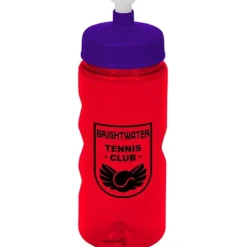 Mini Mountain Bottle - 22 oz