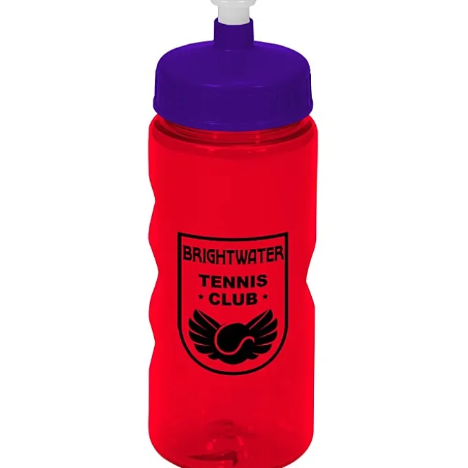 Mini Mountain Bottle - 22 oz