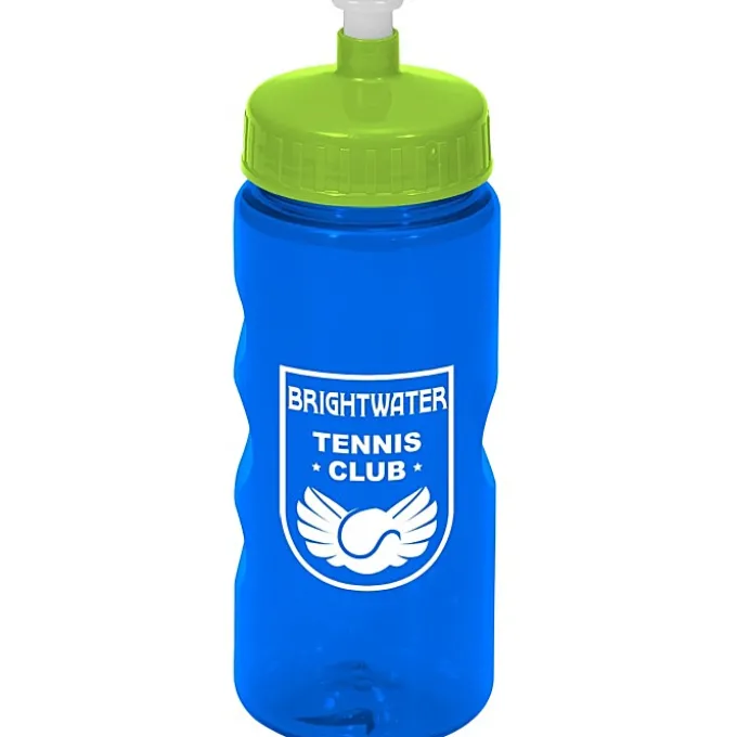 Mini Mountain Bottle - 22 oz