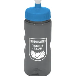 Mini Mountain Bottle - 22 oz