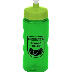 Mini Mountain Bottle - 22 oz