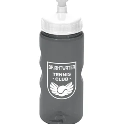 Mini Mountain Bottle - 22 oz