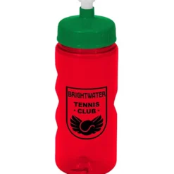 Mini Mountain Bottle - 22 oz