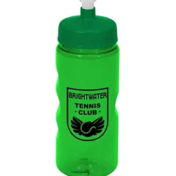 Mini Mountain Bottle - 22 oz