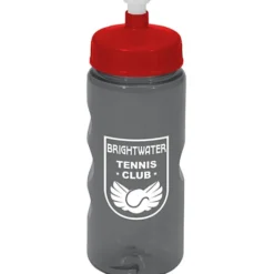 Mini Mountain Bottle - 22 oz