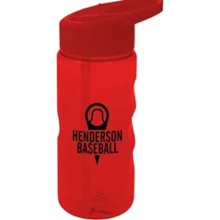Mini Mountain Bottle with Flip Straw Lid - 22 oz