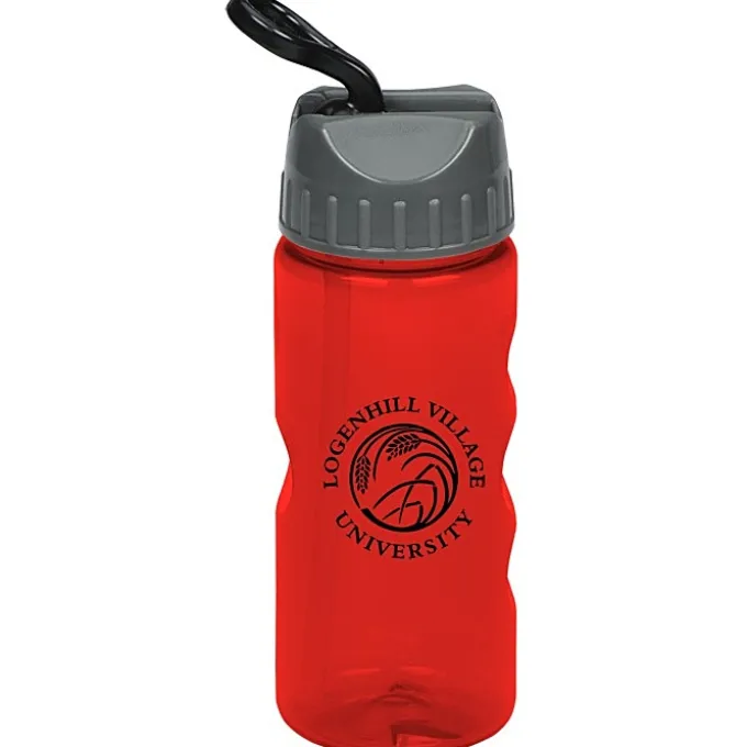 Mini Mountain Bottle with Sport Lid - 22 oz