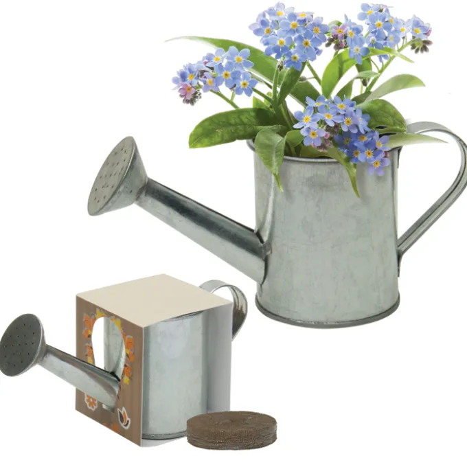 Mini Watering Can Blossom Kit