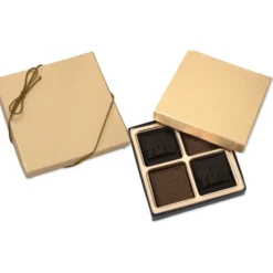 Molded Chocolate Squares - 4-Pieces