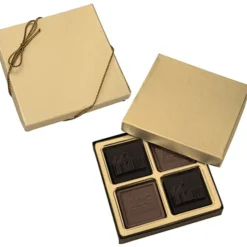 Molded Chocolate Squares - 4-Pieces