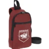 Mystic Sling Bag