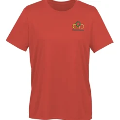 Nike Swoosh Sleeve rLegend T-Shirt - Ladies' - Embroidered