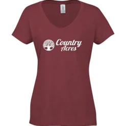 Optimal Tri-Blend V-Neck T-Shirt - Ladies' - Screen