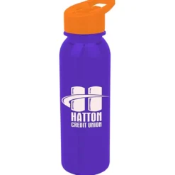 Outdoor Bottle with Flip Straw Lid - 24 oz