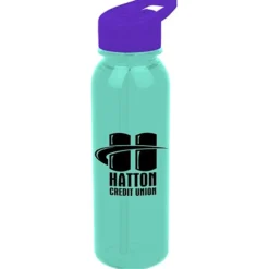 Outdoor Bottle with Flip Straw Lid - 24 oz