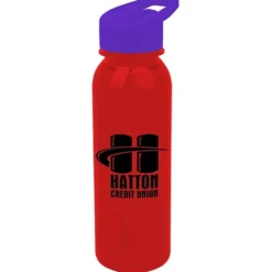 Outdoor Bottle with Flip Straw Lid - 24 oz