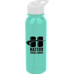 Outdoor Bottle with Flip Straw Lid - 24 oz