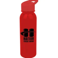 Outdoor Bottle with Flip Straw Lid - 24 oz