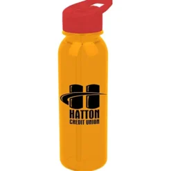 Outdoor Bottle with Flip Straw Lid - 24 oz