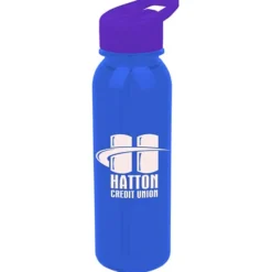 Outdoor Bottle with Flip Straw Lid - 24 oz