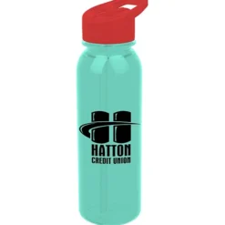 Outdoor Bottle with Flip Straw Lid - 24 oz