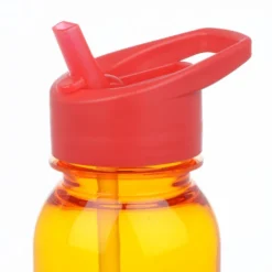 Outdoor Bottle with Flip Straw Lid - 24 oz - Full Color