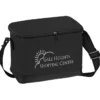 6-Pack Insulated Cooler Bag