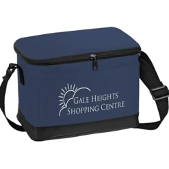 6-Pack Insulated Cooler Bag